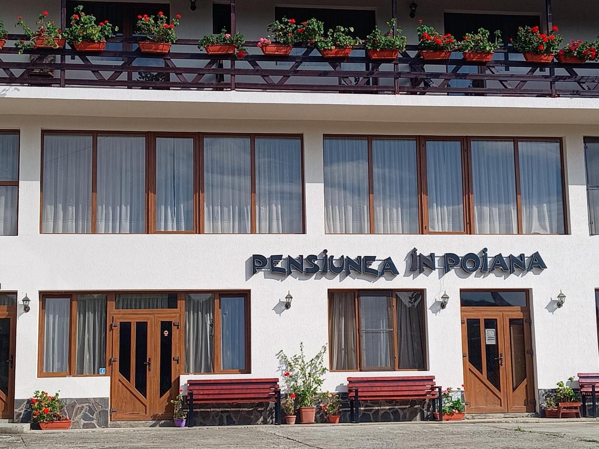 Pensiunea In Poiana Glod  Extérieur photo